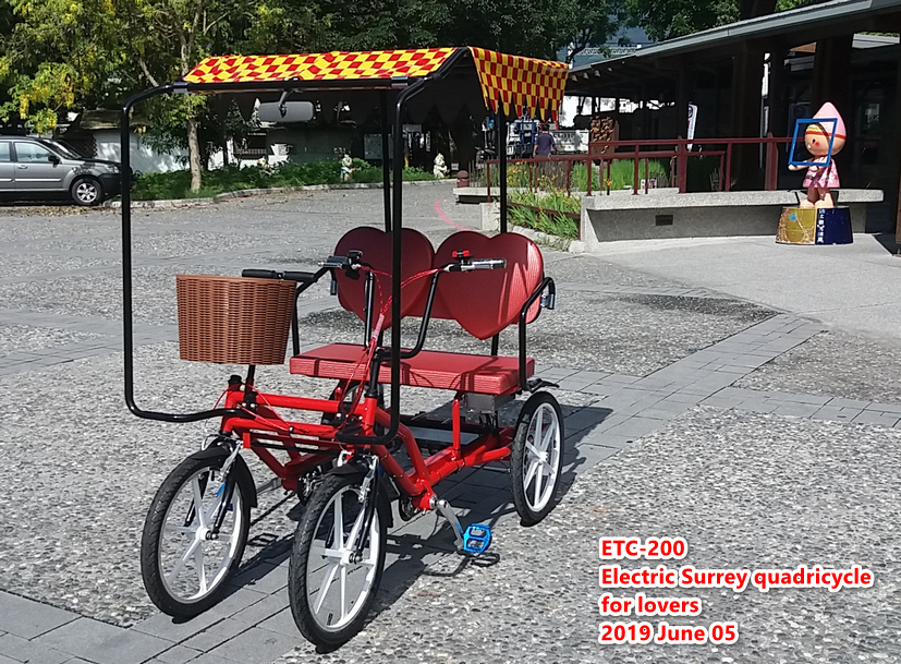 Electric quadricycle for lovers