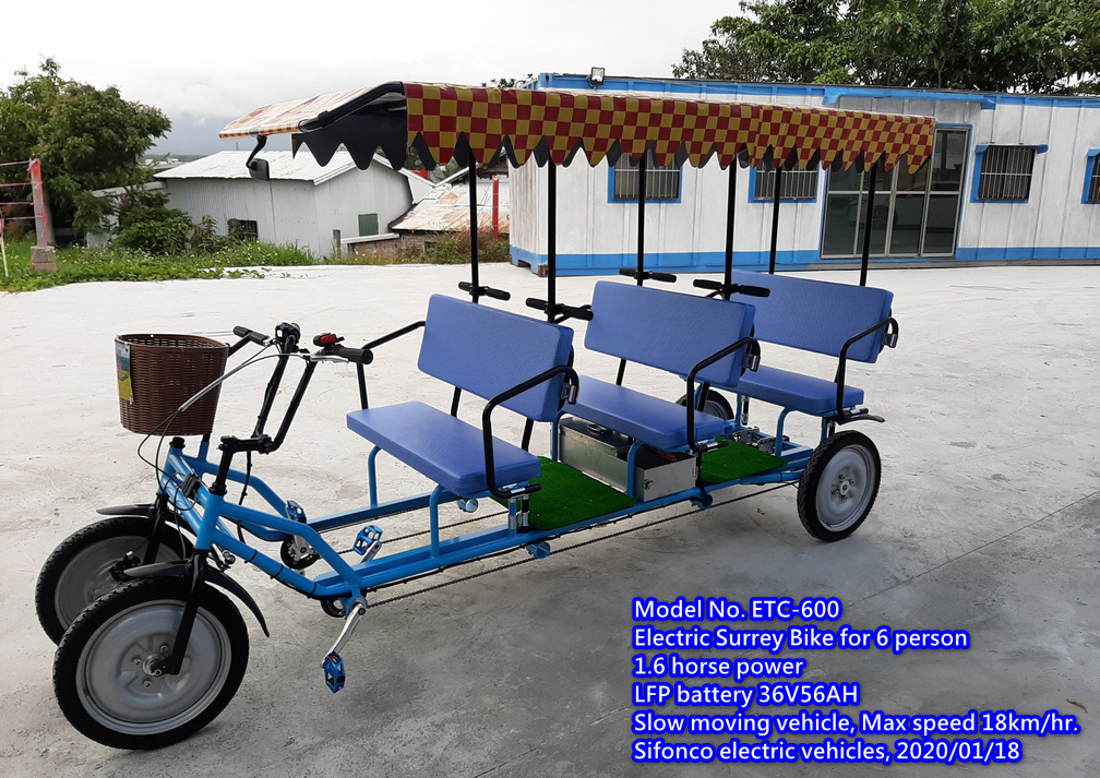 Six Person Electric Vehicle