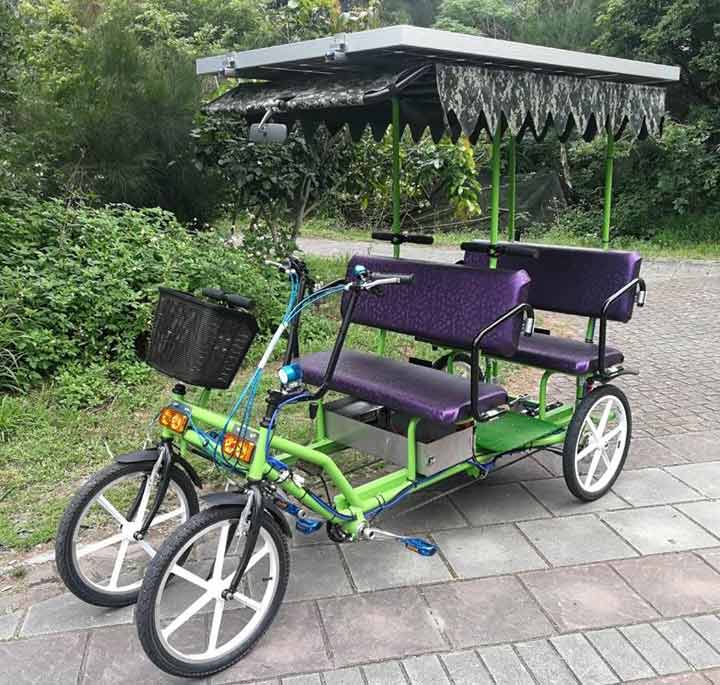 Surrey bike with Solar Panel