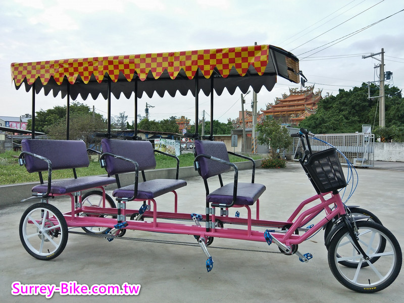 Velo Taxi 6 person