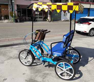 Electric Rickshaw for 2 person