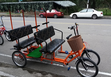 Electric Rickshaw for 4 people Electric Rickshaw for 4 people