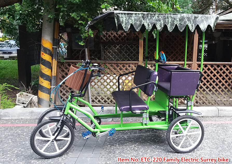 電動親子遊園車/家庭遊園車