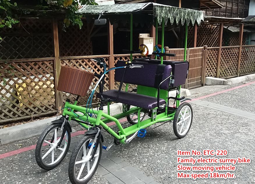 電動遊園車-親子款 電動遊園車-親子款