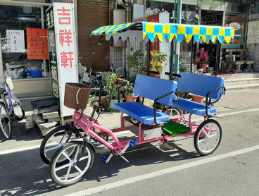 電動篷車,四人款